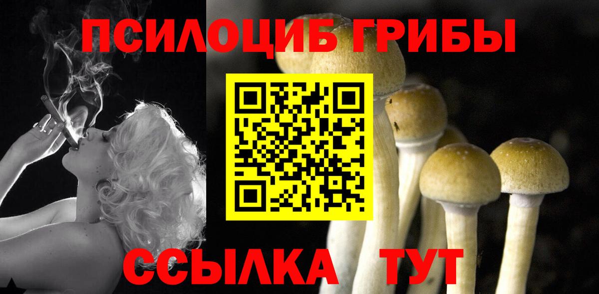 Псилоцибиновые грибы Magic Shrooms Нижневартовск
